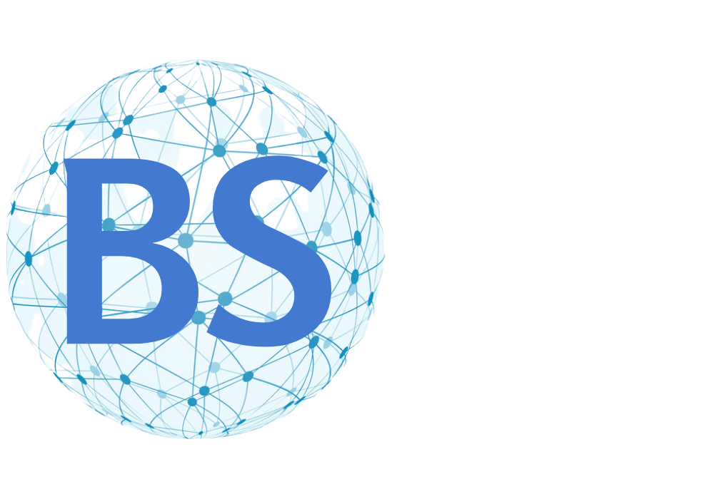 BS International Networks Pte Ltd